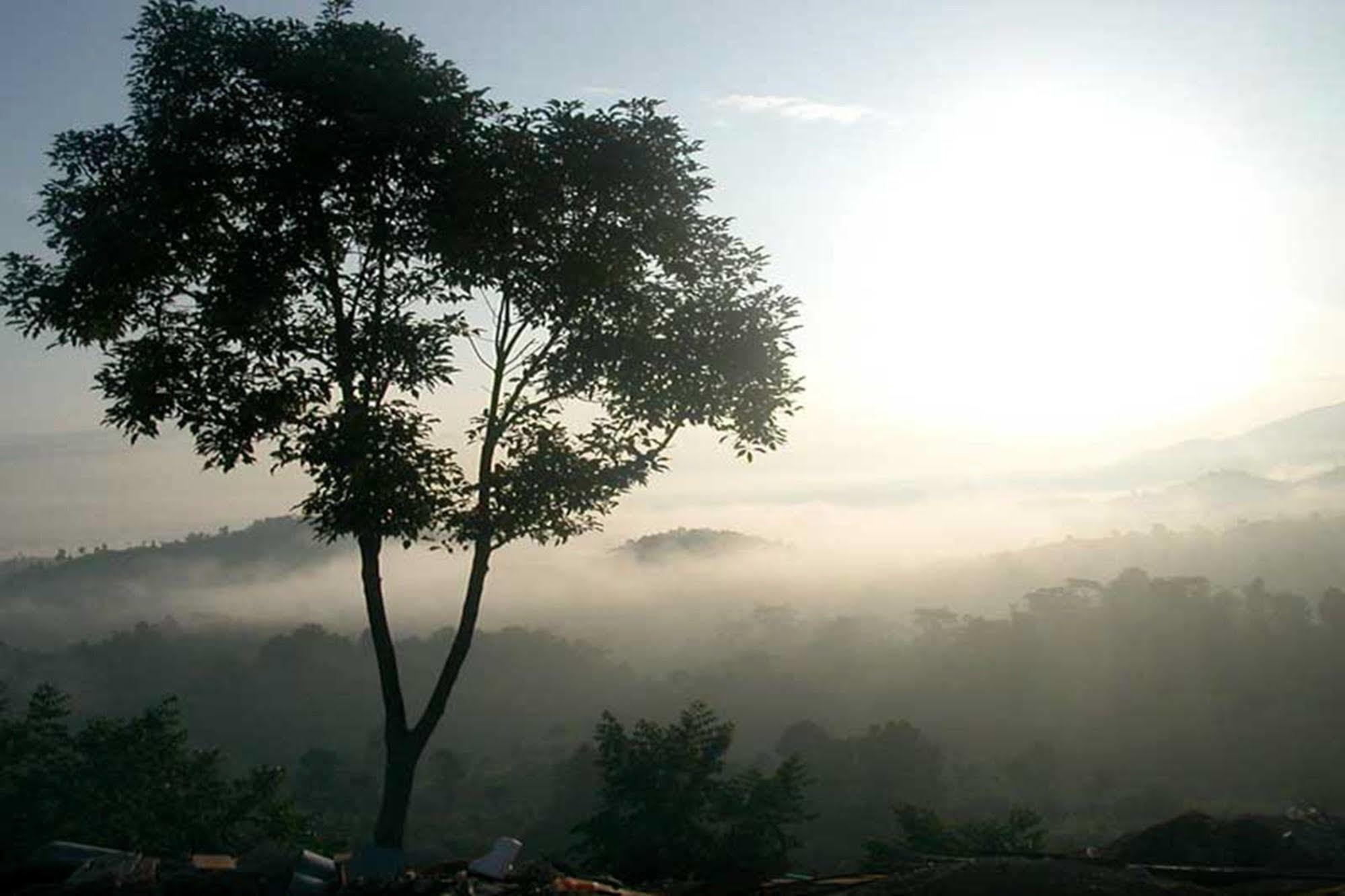 Chiang Rai Valley Resort @Doi Hom Fha Mae Chan Esterno foto